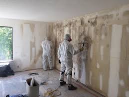  , USA Mold Removal Pros